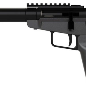 DARK MOUNTAIN ARMS STOW AWAY 9MM 5 TB