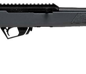 SAV RXR22 22LR 16.5 GRY 10RD
