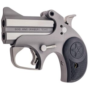 BOND ARMS ROUGHNECK 45ACP SS 2.5" FS
