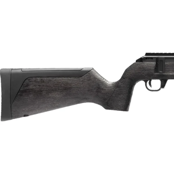 WAI HAM FRC B1 22LR ANTGRY 10R