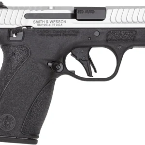 S&W BG2.0 380 12R 2TN TS NS DE