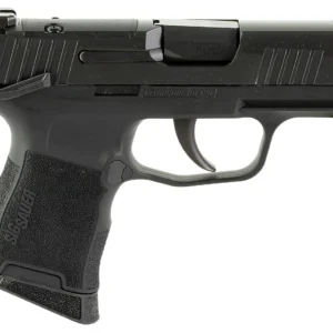 Sig Sauer 365380BSSMSMA P365  380 10+1 3.10" Nitron