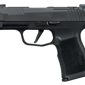 Sig Sauer 365XL380COMP10 P365XL 380 ACP 10+1 3.10" Black Ported Barrel, Black Nitron Stainless Steel Optic Cut/Ported/Serrated Slide, Black Stainless Steel Frame w/Picatinny Rail, Textured Grip, SIG-L
