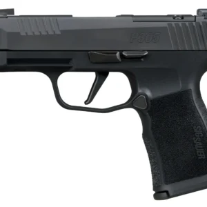 Sig Sauer 365XL380COMPMS P365XL 380 ACP 12+1 3.10" Black Ported Barrel, Black Nitron Stainless Steel Optic Cut/Ported/Serrated Slide, Black Stainless Steel Frame w/Picatinny Rail, Textured Grip, SIG-