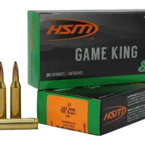 HSM 24317N Game King  243 Win 100 gr Sierra GameKing Spitzer Boat Tail 20 Per Box/ 25 Case