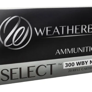 WEATHERBY 300WBY 180GR HDY INTERLOCK