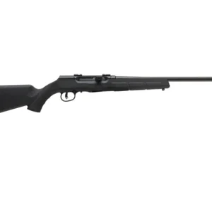 SAV A17 HVY BBL 17HMR SA 10RD