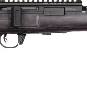 WAI HAM FRC B1 22LR GRY 10RD