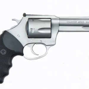Charter Arms Model 73542 Target Magnum .357 Magnum 4.2" 5 Rounds Stainless Steel