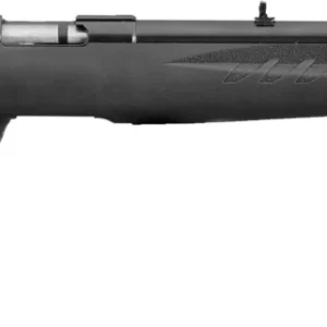 RUG AM RFL RF 17HMR 9RD B