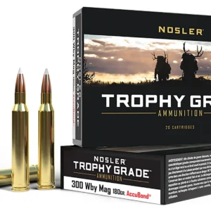 Nosler 48643 Trophy Grade  300WthbyMag 180gr Nosler AccuBond 20 Per Box/10 Case