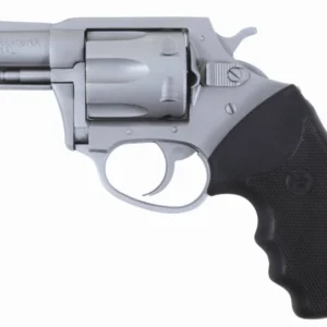 CHARTER ARMS CHARTER POL UNDRCVR 38SP SS 2"