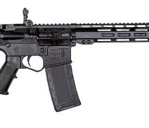 ET Arms ETAGOMEGA556ML15 RIA Omega-15 5.56x45mm 16" 1:8 BBL 15" MLOK 30+1 W/ Flip Up Sights Black