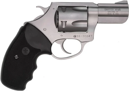CHARTER ARMS PIT BULL 40 S&W - 2.3" S/S - Image 2