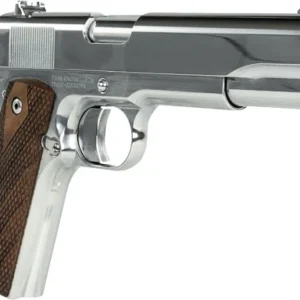 TISAS REGULATOR 1911A1 38 SUP - 5" BBL 2-9RD POLISHED CHROME