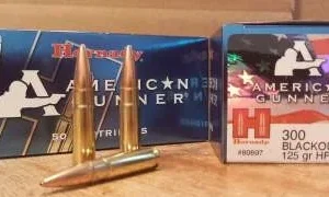 Hornady 300 Blackout American Gunner H80897 125 gr JHP 50 rounds