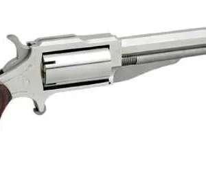 NORTH AMERICAN ARMS THE EARL 22LR/22MAG 4" SS 5SH#