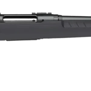 SAVAGE ARMS AXIS 2 243WIN BL/GRY 22"     #