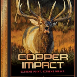 WINCHESTER COPPER IMPACT 300WM 180G LF 20RD BX 200RD CASE