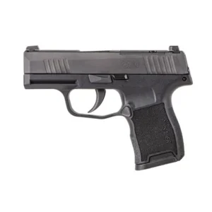 P365-380 MICRO-COMP 380 ACP 3.1'' BBL (2)10RD NMS STRIKER BLK