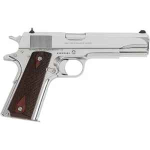 1911 GOVERNMENT CLASSIC 45 ACP 5âBBL (1)8RD BRIGHT STAINLESS
