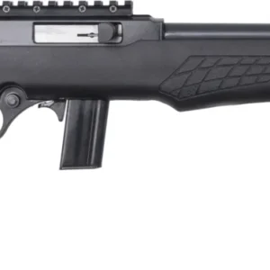 BRZ ROSSI RS22 22LR 18B TB PIC