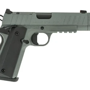 TISAS NIGHT STALKER COMP 10MM GRY  #