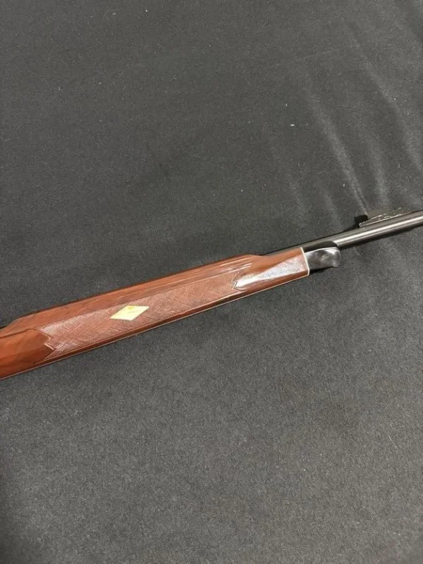 Remington Nylon 66 .22 LR Semi-Auto Rifle | Buttstock Tube Magazine | Classic Plinker