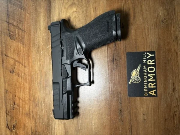 Factory New Springfield Armory Echelon 4.0C 9mm Package | Osight SE Green Dot | Tenicor Holster | Apex & Powder River Upgrades