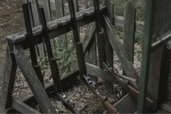 Shotguns resting on a rustic fence